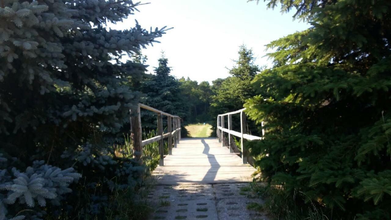 Villa Rivendell Mielno Mielno  Esterno foto